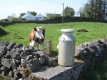 България ще иска помощ от Брюксел заради отпадането на млечните квоти