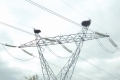 Брюксел проучва сигурността и конкурентността на доставките на ток