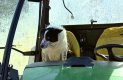 Куче кара трактор по магистрала в Шотландия
