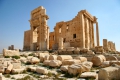 Започнаха масови екзекуции в Палмира