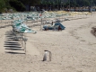 Три български плажа с опасно мръсна вода