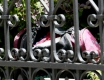 Сак с дрехи в австрийското посолство вдигна на крак службите
