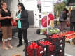 Оранжерии продаваха евтин зарзават като протест срещу контрабандата