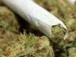 В Колорадо служители може да бъдат уволнявани за употреба на марихуана