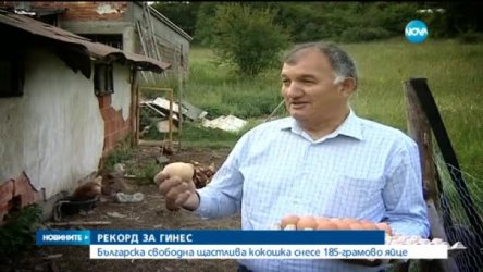 Собственикът Методи Димитров показва гигантското яйце