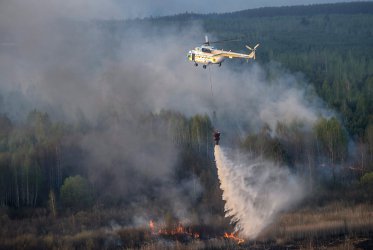 Над 5 хектара торфени блата тлеят в района на АЕЦ "Чернобил"