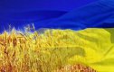 Украйна разчита на плодородните си земи, за да се възстанови