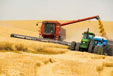 Жътвата на пшеницата приключи с реколта от 4.6 млн. т