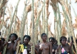 Вече са 65 загиналите девойки, премазани на път за танц пред краля на Свазиленд