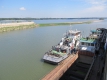Корабоплаването в българския участък на Дунав е затруднено на четири места
