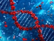 Изследователи на ДНК спечелиха Нобеловата награда за химия