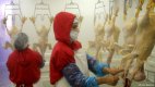 Български фирми започват износ на птиче месо и гъши дроб за Япония