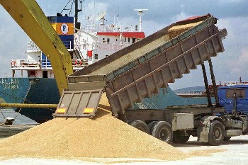 Пшеницата формира съществена част от износа на български селскостопански стоки