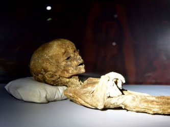 Мумия на извънземно показват в София