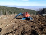 Прокуратурата ще проверява унищожени над 20 дка гора на Витоша