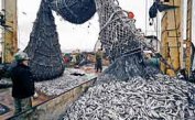 ЕК одобри Програмата за рибарство и аквакултури за 113 млн. евро