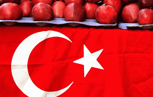 Руските санкции вдигат с 5 млрд. долара дефицита по текущата сметка на Турция