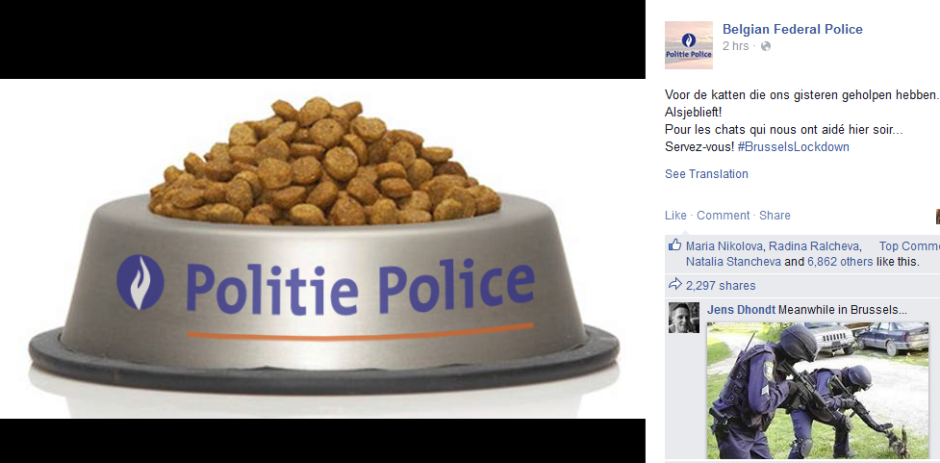 Белгийците подкрепиха полицията като заляха социалните мрежи с котенца