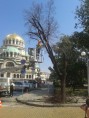 Църковните камбани в София биха тревожно заради собствеността на "Св. Александър Невски"