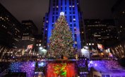 Грейна 10-тонната коледна елха на Рокфелер плаза в Ню Йорк