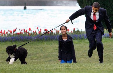 Президентът Обама с кучето Бо