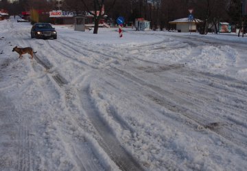 Северна България скована от сняг, лед и силен вятър