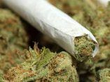 Колумбия разреши медицинската марихуана