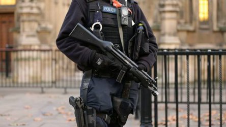 Лондон увеличава броя на въоръжените полицаи