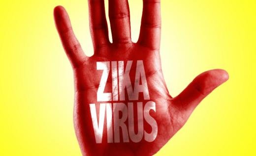 Световната здравна организация обяви вируса Зика за глобална опасност