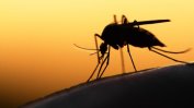 Лондон и Гейтс дават над 4.5 млрд. долара за борба с маларията