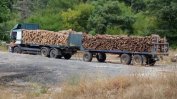 Засилва се контролът върху износа и вноса на дървесина