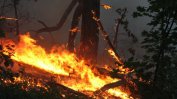 Горски пожар бушува край Тутракан