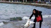 Българска туристка убила лебед в Охрид докато се снима с него