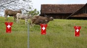Може ли Швейцария да стане пример за Великобритания и ЕС?