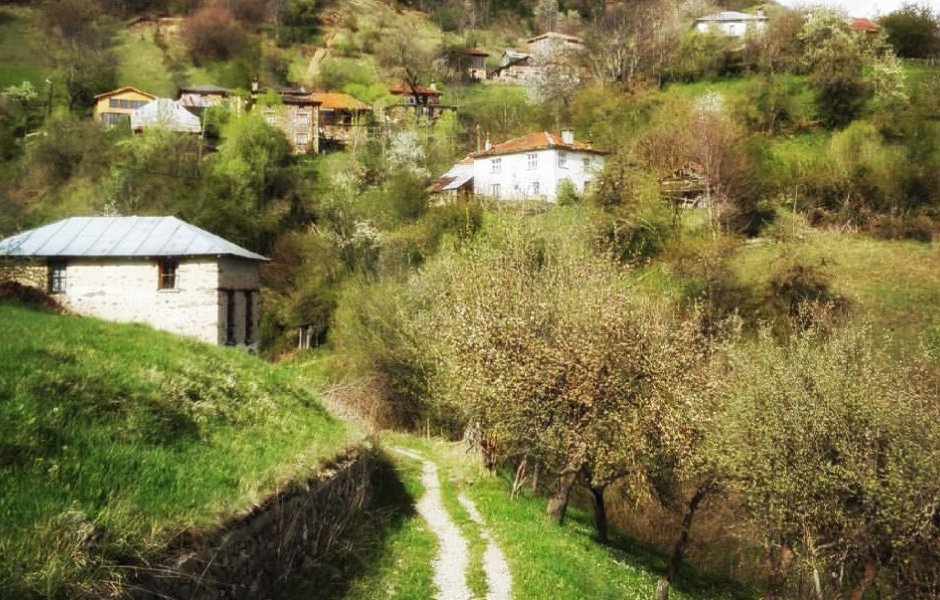 Село Киселчово