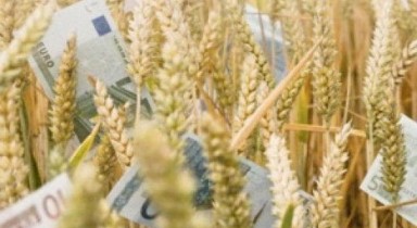 МЗХ отрече за спрени 1.1 млрд. лв. по селската програма