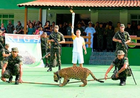Ягуарът Джума, талисман на Олимпиадата в Рио, бе застрелян