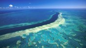 Обезцветяването на Големия бариерен риф носи щети за туризма
