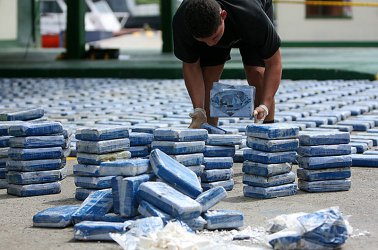За 5 дни колумбийските власти унищожиха 104 лаборатории за кокаин