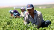 Сирийските бежанци вече могат да работят легално в Йордания