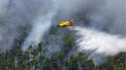 Седем процента от о-в Палма са изпепелени от горски пожар