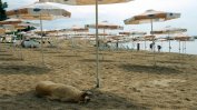 Глоба до 50 000 лева за хотелиер, завзел незаконно плаж край Варна