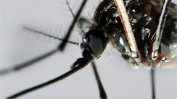 Гърция спря кръводаряването в някои части от страната заради малария