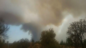 Пожар бушува на остров Тасос, две селища са евакуирани
