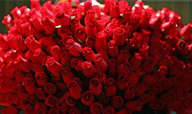 "Миротворецът" Путин получи 450 рози за рождения си ден