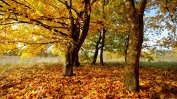 Астрономическата есен настъпва със слънчево време