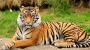Нова зоологическа градина в Пловдив отваря врати до месеци