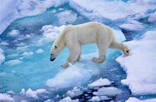 САЩ блокираха сондажите за нефт и газ в Северния ледовит океан