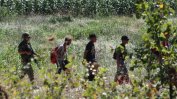 Службите разбираха канал за трафик на имигранти към Сърбия