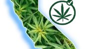 Още шест американски щата легализираха марихуаната